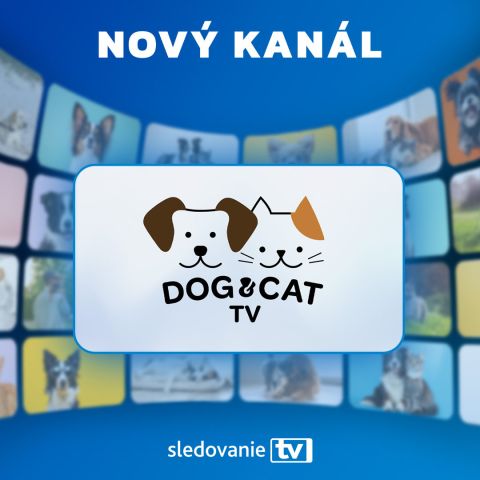 SledovanieTV rozširuje ponuku o nový kanál Dog &amp; Cat TV