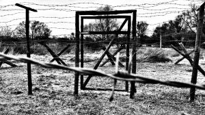 Slovensk&aacute; komora učiteľov vyz&yacute;va na voľno pre &scaron;koly na 17. novembra (CEL&Eacute; ZNENIE)