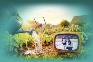 Televíziu môžte stále sledovať aj cez bežnú anténu: Jednoduché riešenie pre domácnosti bez internetu