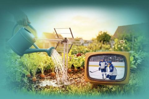 Televíziu môžte stále sledovať aj cez bežnú anténu: Jednoduché riešenie pre domácnosti bez internetu