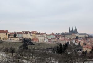 Seznam.cz podal žalobu na Andreja Babi&scaron;a