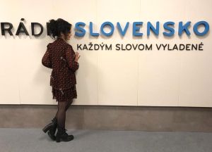 V svetovom rebr&iacute;čku slobody tlače RSF sa Slovensko umiestnilo na 37. mieste zo 180