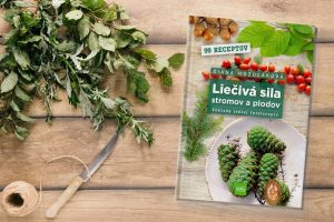 Objavte liečiv&uacute; silu stromov a pripravte si niektor&yacute; z 99 receptov (VIDEO)